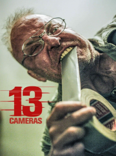 13 Cameras streaming