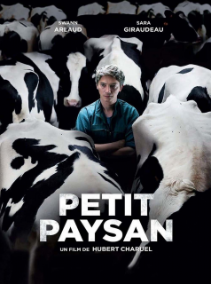 Petit Paysan streaming