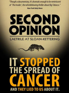 Second Opinion streaming