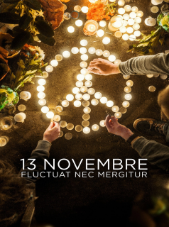 voir série 13 novembre : Fluctuat nec mergitur en streaming