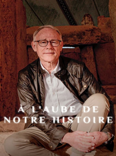 voir série À l'aube de notre histoire en streaming voir série À l'aube de notre histoire en streaming