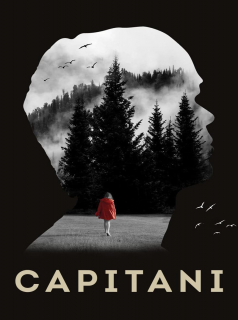 voir série Capitani en streaming voir série Capitani en streaming