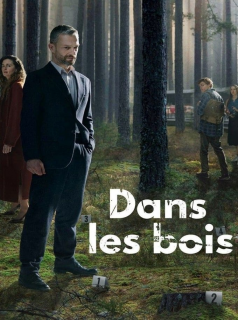 voir série Dans les bois en streaming voir série Dans les bois en streaming