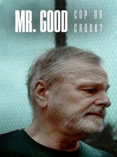 voir série Mr. Good : Flic ou baron ? en streaming voir série Mr. Good : Flic ou baron ? en streaming