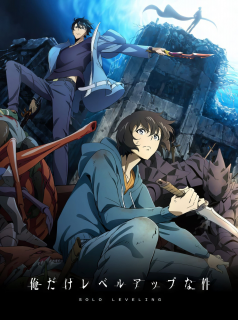 voir série Solo Leveling en streaming voir série Solo Leveling en streaming