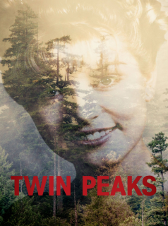 voir série Twin Peaks en streaming voir série Twin Peaks en streaming
