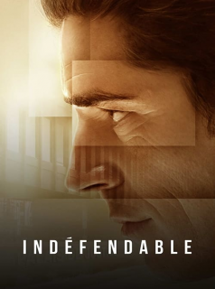 voir serie Indéfendable